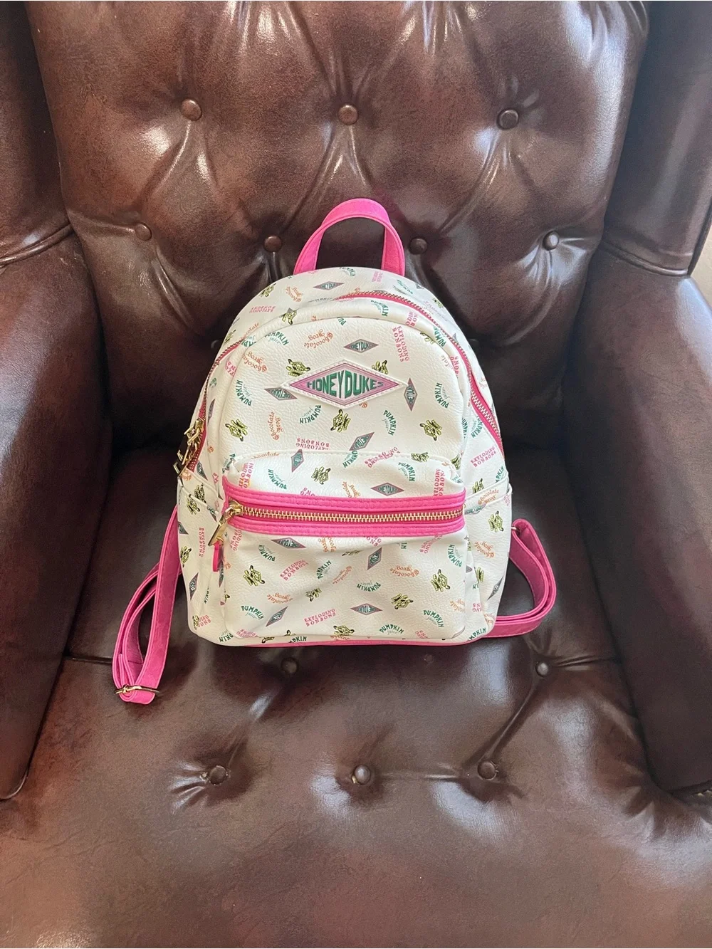 Harry Potter Honeydukes Mini Backpack!!